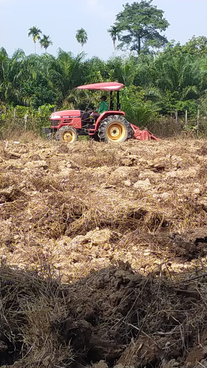 Pembuatan lahan P5 dengan tema hidup Berkelanjutan